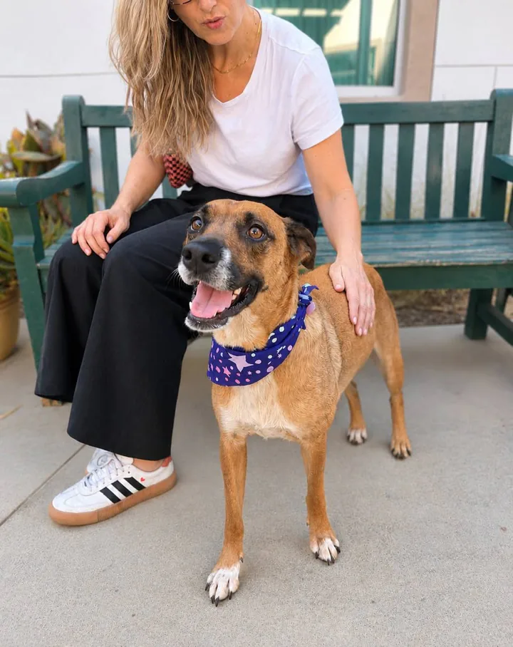 Birdie in a purple bandana standing in front of a green bench, leaning against her foster mom's leg with her mouth open in a happy grin