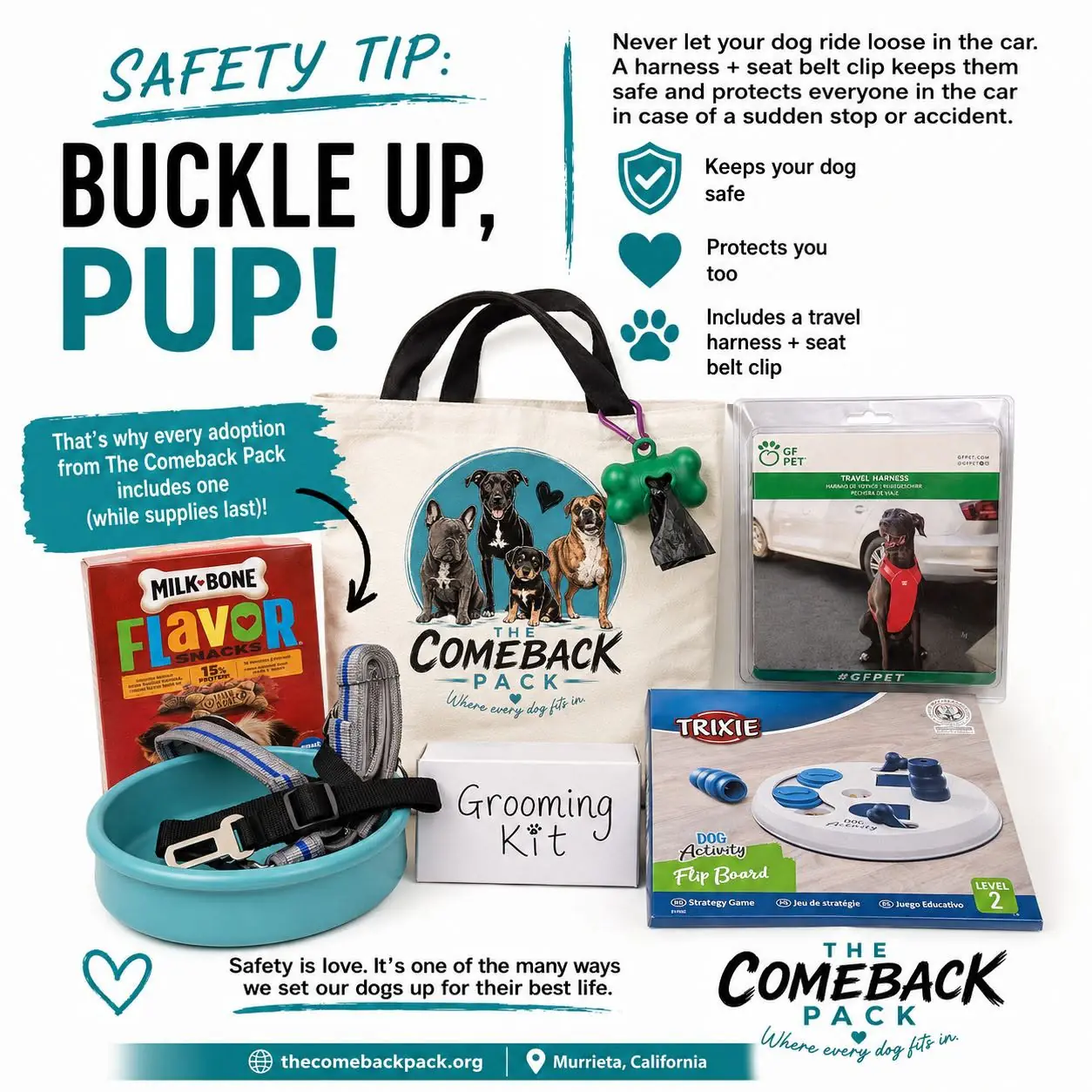 Safety tip graphic showing a travel harness, seat belt clip, tote bag, treats, grooming kit, and puzzle toy included with every Comeback Pack adoption
