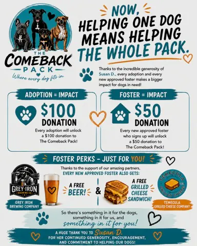 The Comeback Pack flyer reading "Now, helping one dog means helping the whole pack" — adoption unlocks a $100 donation, foster unlocks a $50 donation, plus a free beer and grilled cheese sandwich for new fosters, thanks to Susan D.
