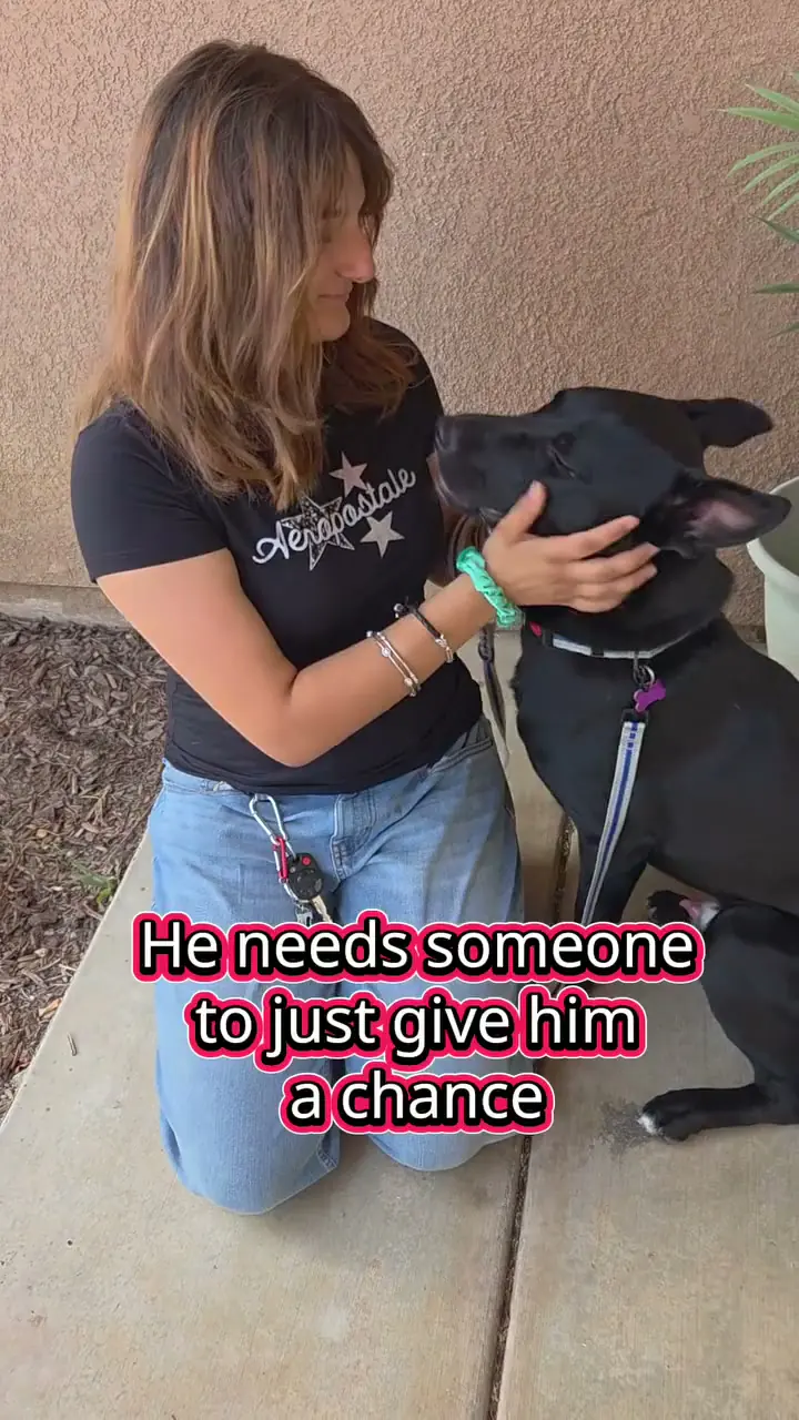 Dumplin', a black dog, being cradled affectionately by a Comeback Pack volunteer in a backyard