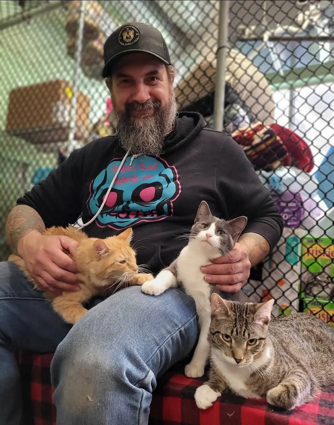 Marc caring for cats at a sanctuary organization