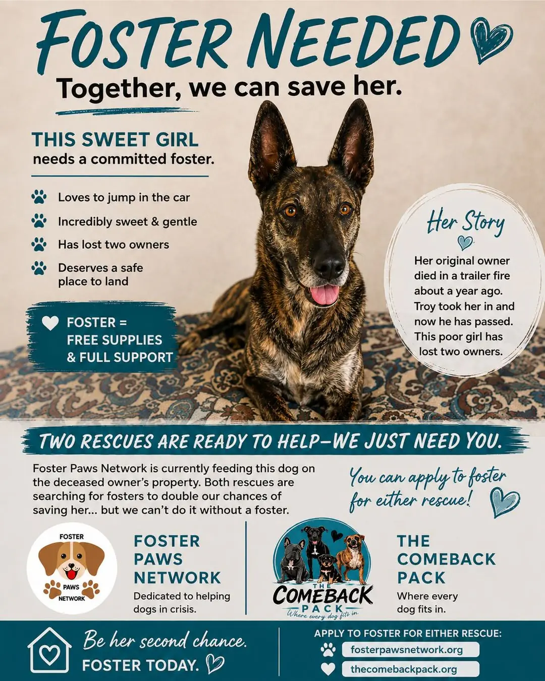 “Foster Needed — Together, we can save her” flyer with a brindle shepherd mix lying on a patterned rug, listing that she loves to jump in the car, is incredibly sweet and gentle, and has lost two owners, above the Foster Paws Network and The Comeback Pack logos and the line “Two rescues are ready to help — we just need you.”