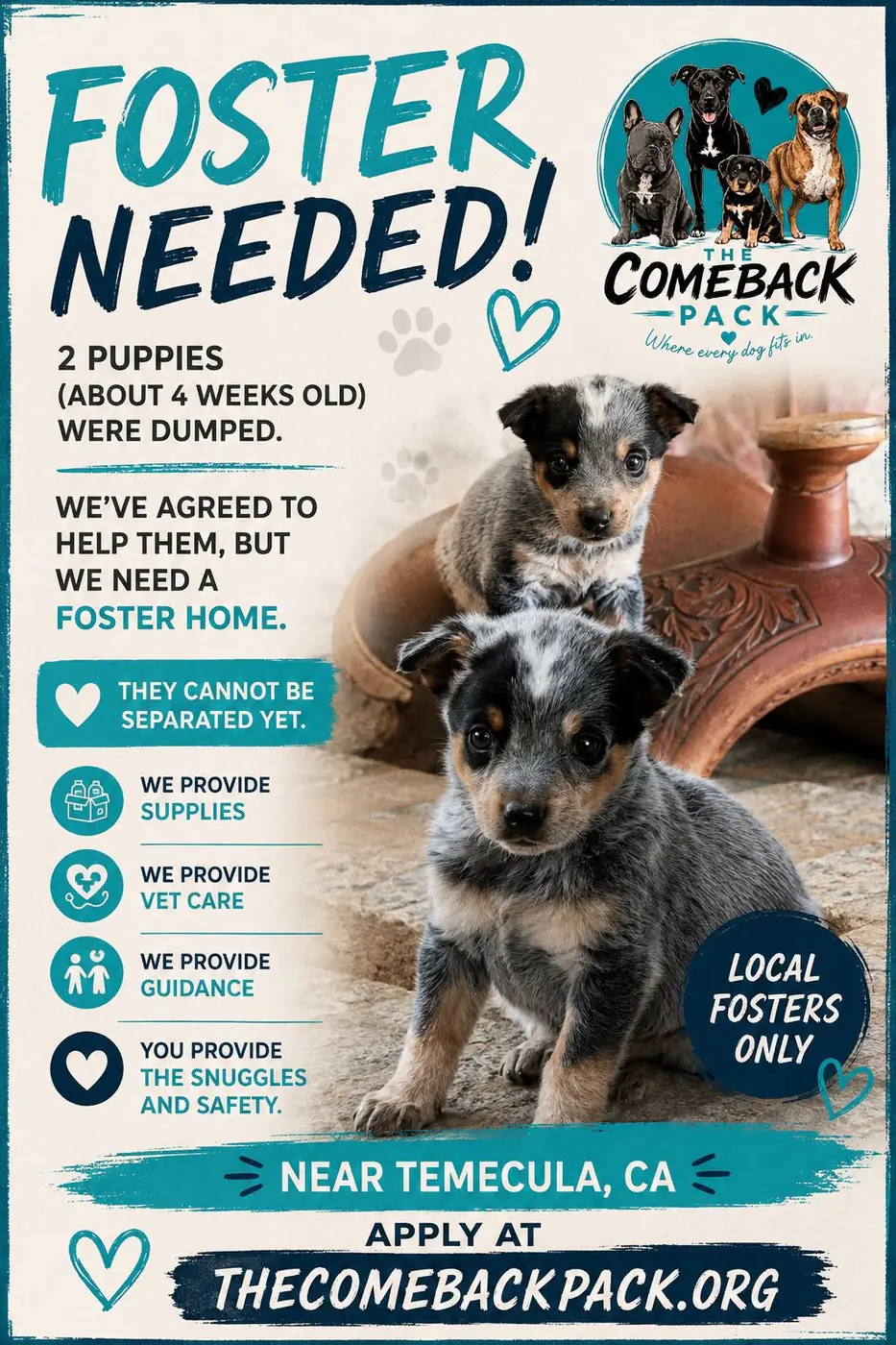 Foster flyer reading "Foster Needed!" featuring two 4-week-old cattle dog mix puppies