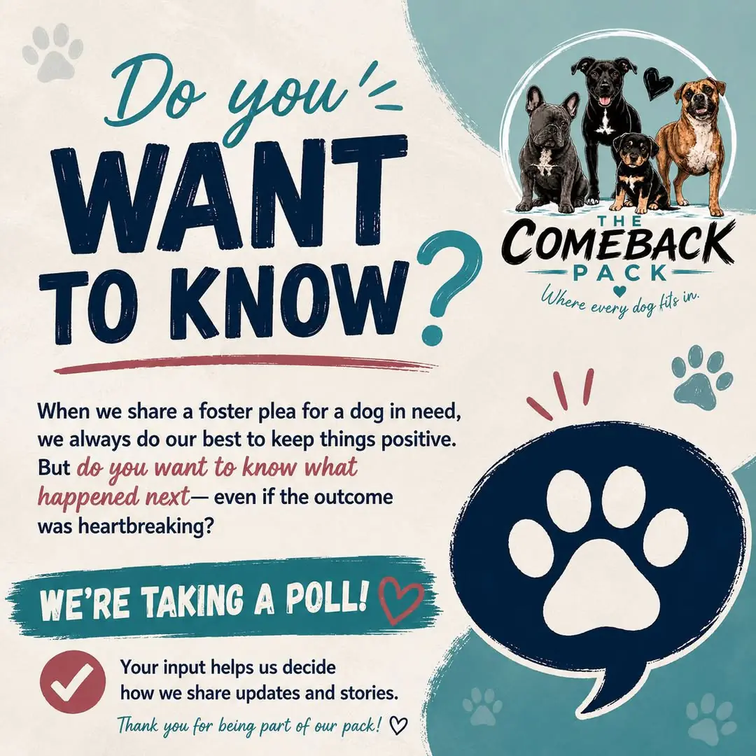 Graphic reading 'Do You Want to Know?' announcing a poll about how The Comeback Pack shares foster plea updates, even heartbreaking ones