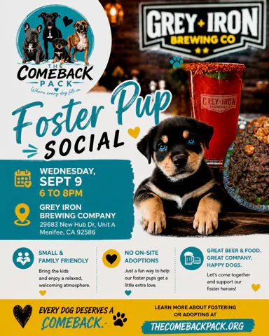 Foster Pup Social flyer for Wednesday, September 9, 2026, 6-8pm at Grey Iron Brewing Co. in Menifee, CA