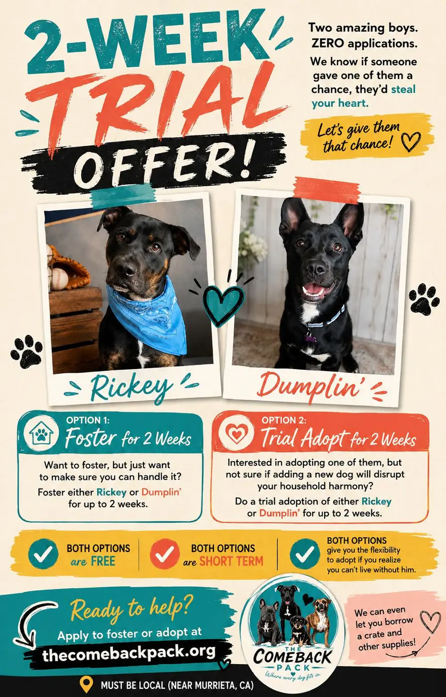 2-Week Trial Offer graphic with photos of Rickey, a black and tan dog in a blue bandana, and Dumplin', a black dog, offering a free 2-week foster or trial adoption for either dog