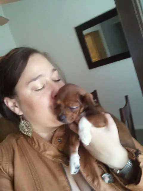 Jen with one of our tiny foster puppies.