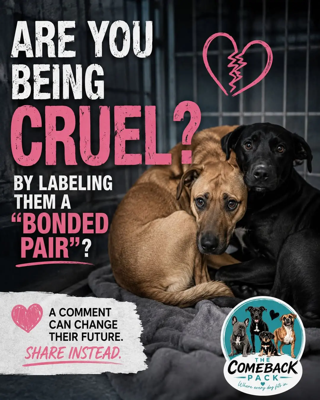 Graphic asking 'Are you being cruel by labeling them a bonded pair?' over two dogs curled up together in a shelter kennel, with the note 'A comment can change their future. Share instead.'