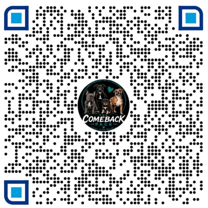 PayPal QR code for The Comeback Pack