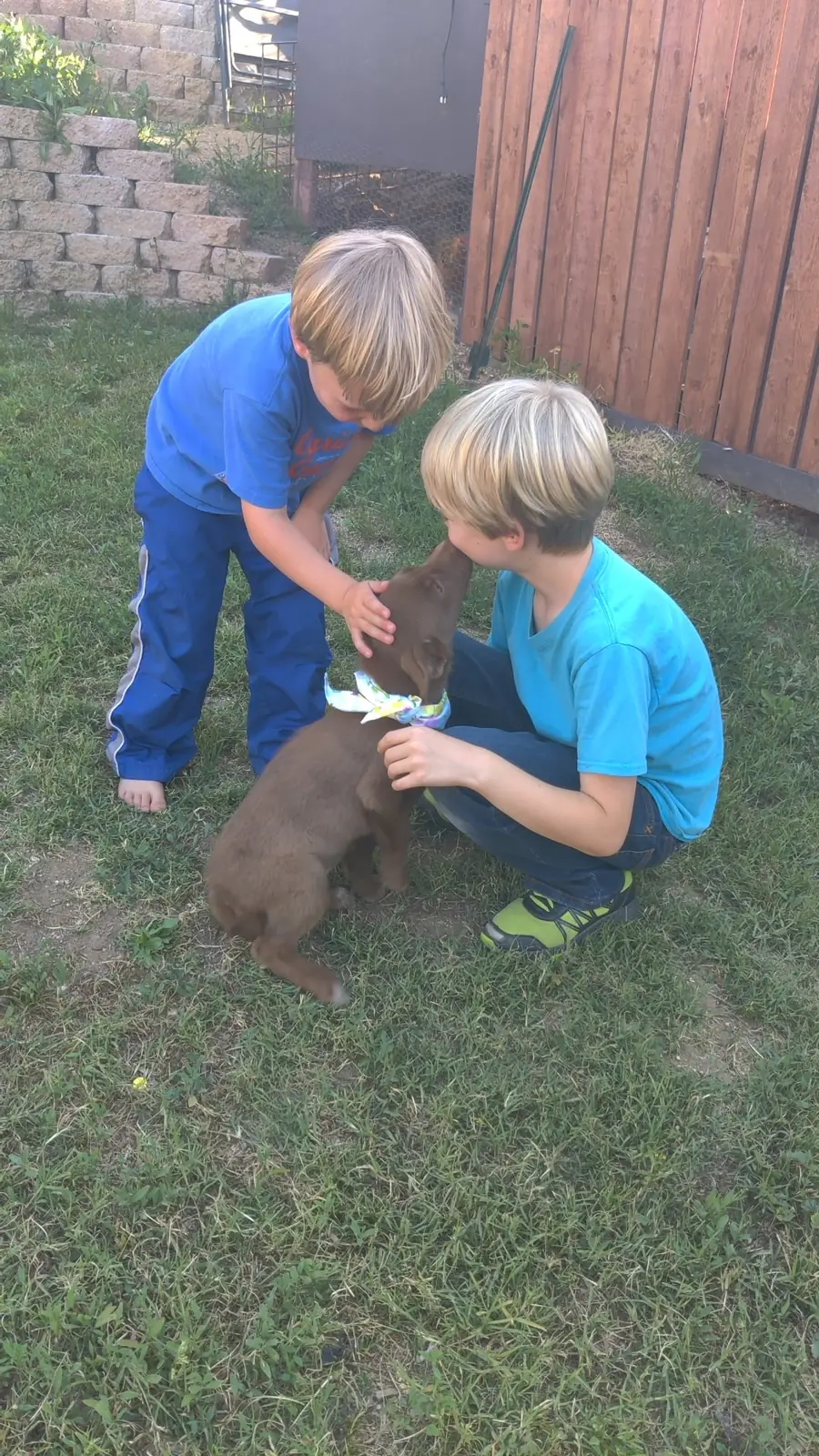 Sadie Rose as a 9-week-old puppy, being greeted by Kitty's kids