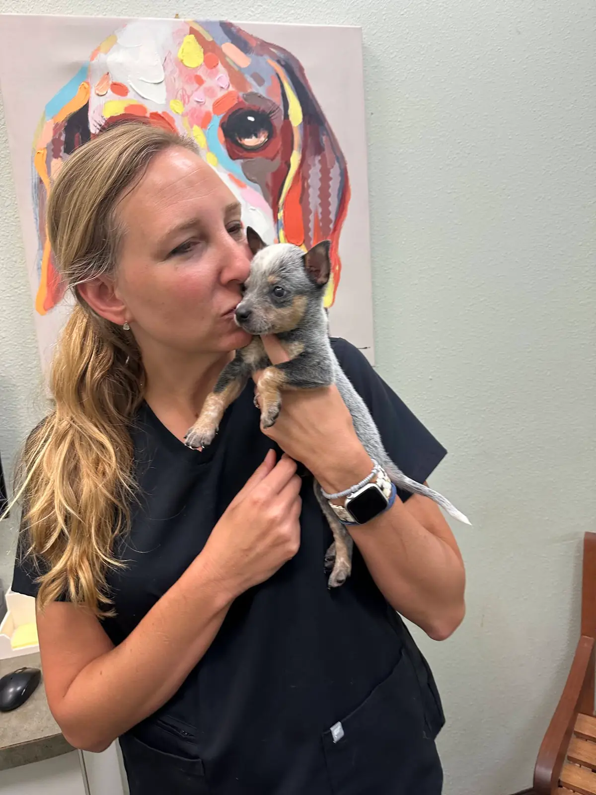 One of the puppy brothers getting kisses from a vet tech during a checkup