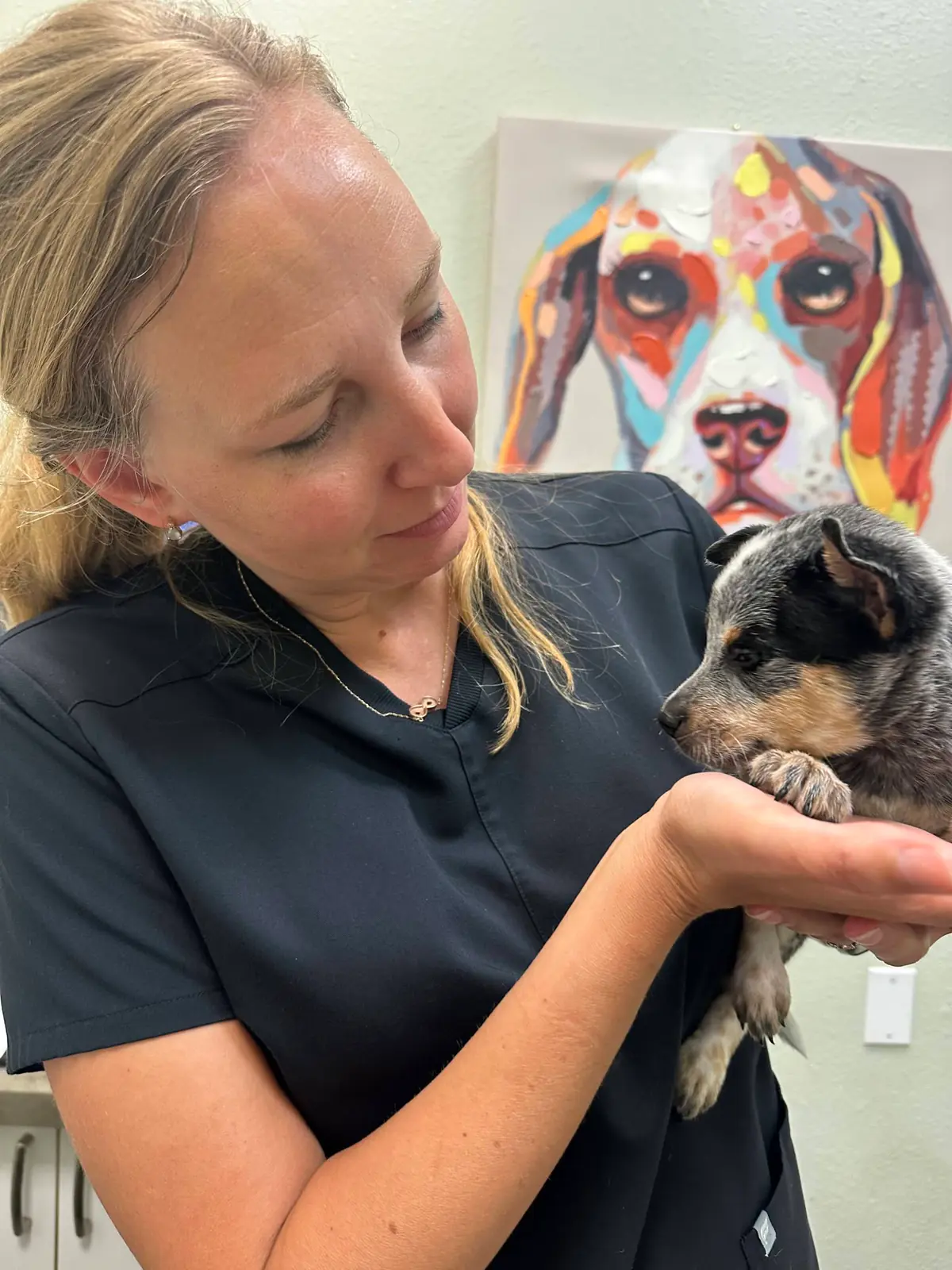 One of the puppy brothers getting a vet checkup