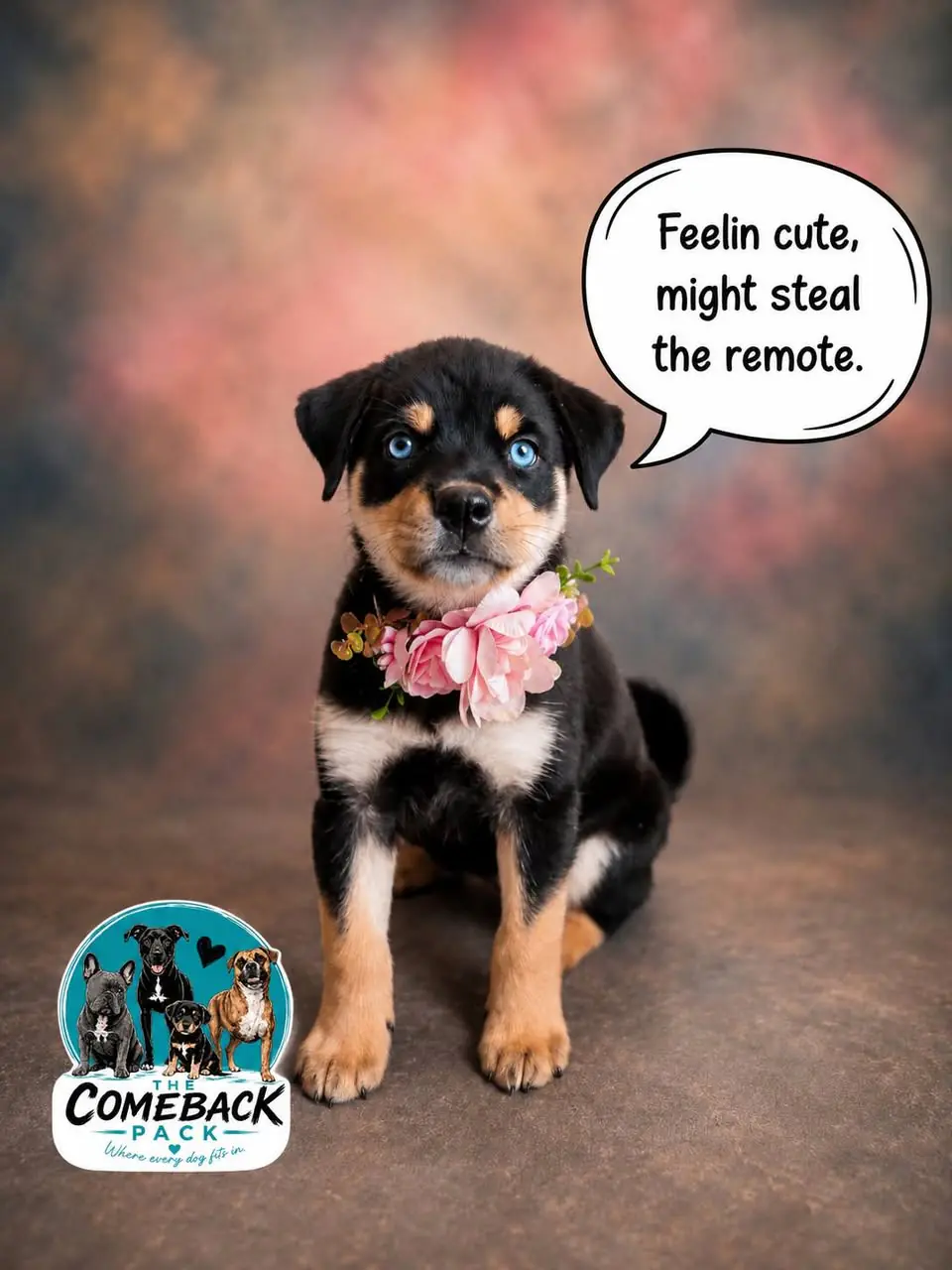 Stormy Skye in a pink flower collar, sitting and facing the camera, with a thought bubble reading "Feelin cute, might steal the remote"