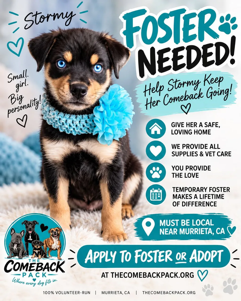Foster Needed flyer for Stormy Skye: a black and tan puppy with blue eyes in a light blue collar, beside the points that fosters give her a safe, loving home while The Comeback Pack provides supplies and vet care, and that fosters must be local near Murrieta, CA